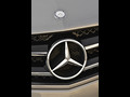 Mercedes-Benz C250 Coupe (2013)  - Grille