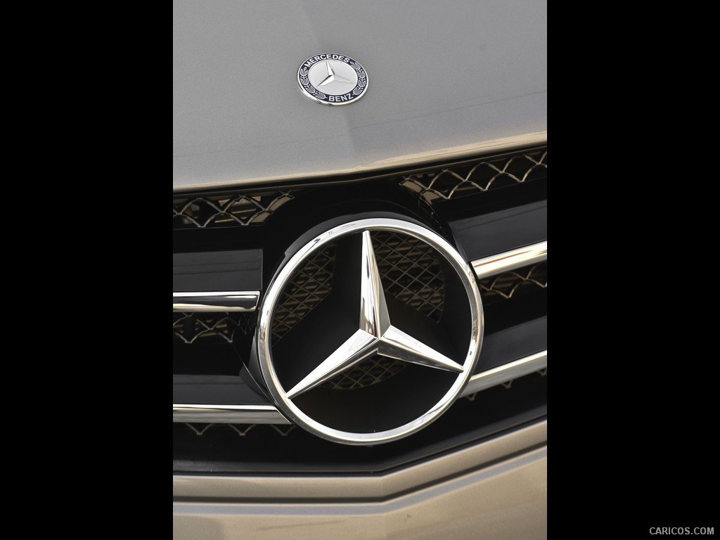 Mercedes-Benz C250 Coupe (2013)  - Grille