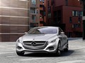 Mercedes-Benz F800 Style Concept (2010)  - Front Angle 