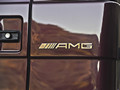 Mercedes-Benz G63 AMG US-Version (2013)  - Badge