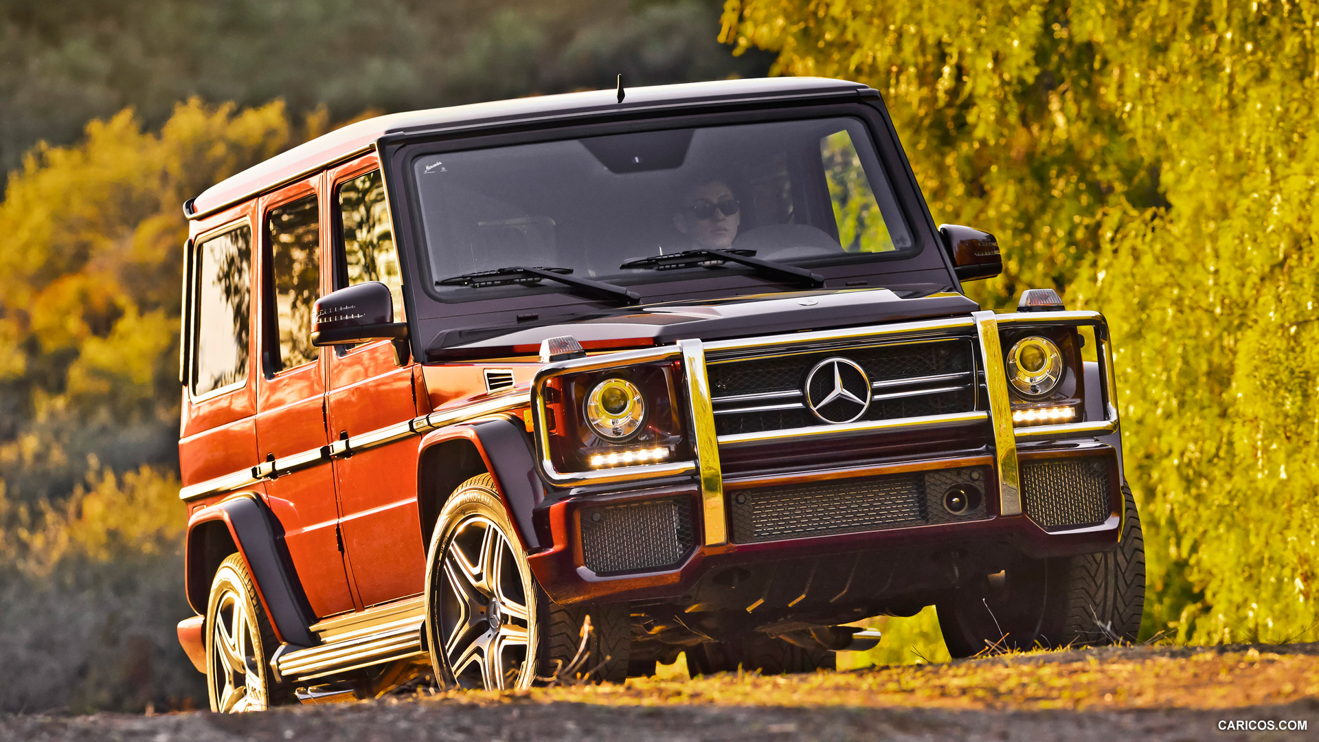 Mercedes-Benz G63 AMG US-Version (2013)  - Front, #47 of 83