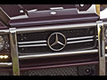 Mercedes-Benz G63 AMG US-Version (2013)  - Grille