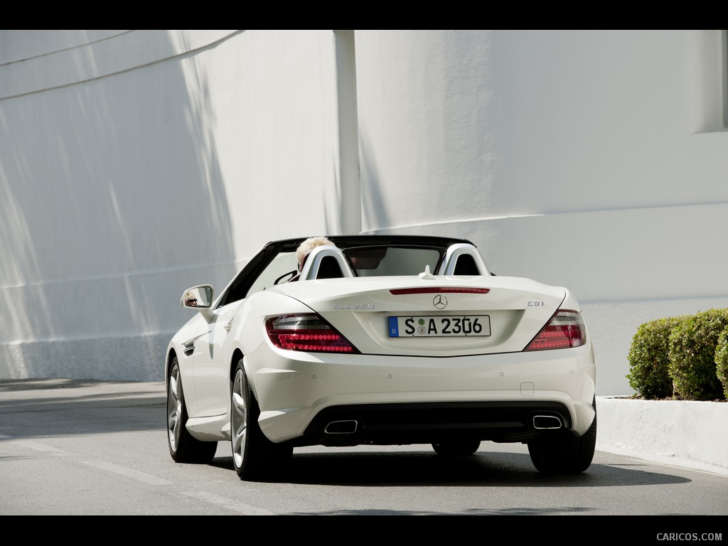 Mercedes-Benz SLK 250 CDI (2012)  - Rear 