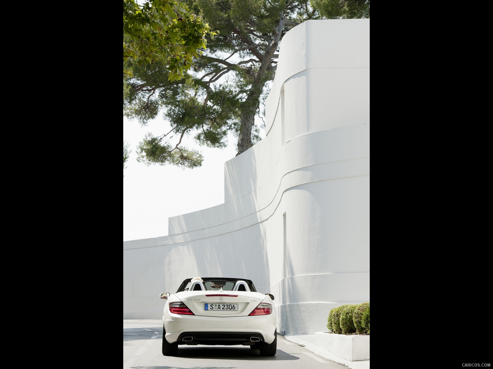 Mercedes-Benz SLK 250 CDI (2012) - Rear | Caricos